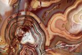 Polished Crazy Lace Agate - Mexico #193183-2